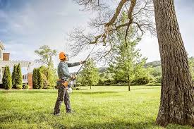 Best Lawn Maintenance Plans  in Oaklyn, NJ