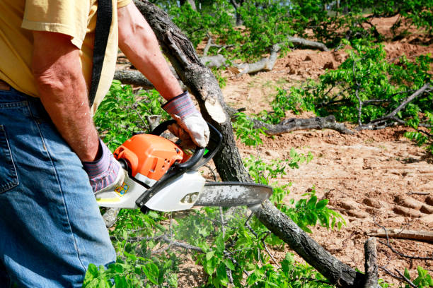 Best Soil Testing and Treatment  in Oaklyn, NJ